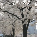 유디서현치과의원 이미지