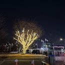 연안빌딩 | 광화문 빛축제 후기｜알탕에 두바이 설빙까지, 광화문 직장인의 연말 루틴