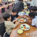 제주사랑천연염색