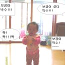 보경떡 이미지