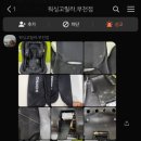 워싱고릴라 이미지