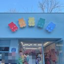 로이하이
