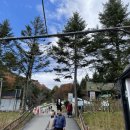 방림목장 이미지