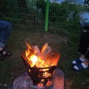 개멍물멍 이미지