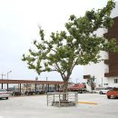 수비치캐슬 이미지