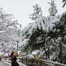 인창중앙공원(산책로) 이미지