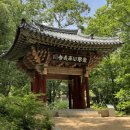 상주 북장사 극락보전 목조아미타여래삼존좌상 네이버블로그