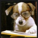 서울자곡초등학교 이미지