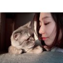 오늘;예쁨 이미지