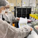 창녕유치원 이미지