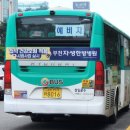 성일운수 이미지