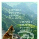 아이구