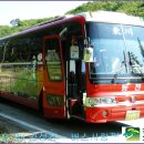 동천여행사 이미지