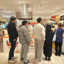 타코파파 이미지