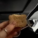 오로라2 | 옐로우나이프 오로라 투어 (오로라만 단독 2일 투어 후기!)