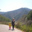 소백산삼가야영장 이미지