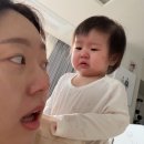 유트루 아들 딸 반응 차이ㅋㅋㅋ 이미지