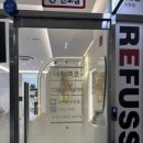 네일리코레푸스 이미지