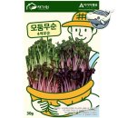 씨앗 - 남양주시 덕소로116번길 11 | 씨앗