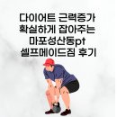 다이어트 근력증가 확실하게 잡아주는 마포성산동pt 셀프메이드짐 후기