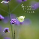 청산파크 이미지