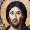 2025년 10월 12일 / 성령강림절 후 열여덟째 주일 이미지