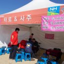 청송솔사과 네이버블로그