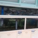 사림동284 이미지