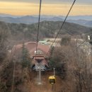 세븐일레븐 마산삼계대로점 | 2026.1.1-1.6 새해부터 푸파하다가 노로행, 생일은 챙김 2026파란만장 시작