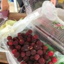 해안농장 이미지