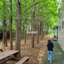 생각나무자연학교 | 아이랑 추천 활동 2025 광진 가족과 함께하는 기후환경학교 후기