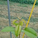 재용목장 이미지