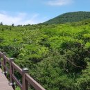 장생테크 이미지