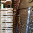 영창식당 이미지