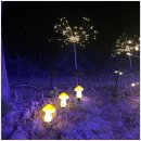 가평우유키즈풀빌라가족수영장펜션 | 아이와 함께 신나는 물놀이! 가평키즈펜션 ‘가평밀크키즈풀빌라가족수영장펜션’ 후기