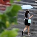 소나기 이미지