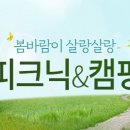 피크닉바람