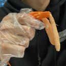 주야대게 이미지