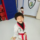 청솔태권도 이미지