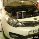 뉴오일존 이미지