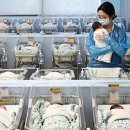 전라남도교육청사, 교육정보원 이미지