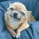 브니엘영광지역아동센터 | 쫀득E월