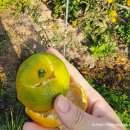 힐담(힐링을담다) 이미지