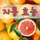 자몽아트