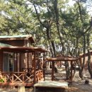 장사해수욕장 이미지