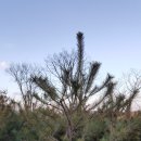 솔내음농장 이미지