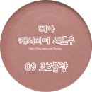 리즈블랑