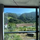 골든파인펜션 이미지