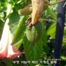 수정-28 이미지