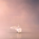 물금동아중학교 이미지